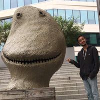 Fotos de Ryan Sarkar