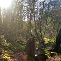 Nil Yıldız's Photo