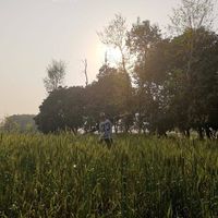 Vikash Torkod's Photo