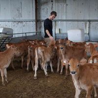 Julian Storz's Photo