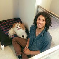 Michael Giordano的照片