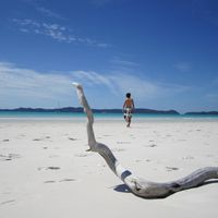 Ivan Barrera的照片