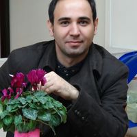 Mahdi Mohammadi's Photo