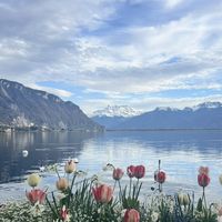 Celia Banseret's Photo