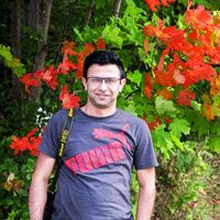 Alireza Najafian的照片