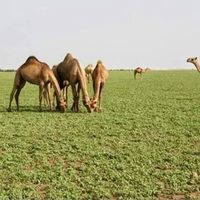 Joseph Javier的照片