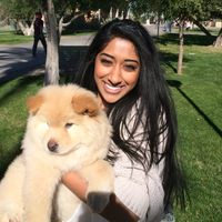 nainika sudheendra的照片