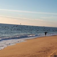 Victoria Bini's Photo