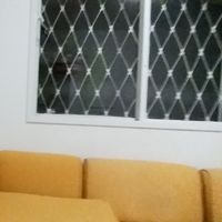 Pedro Fabiano的照片