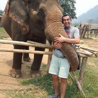 Tzuriel Amster's Photo