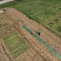 Photos de Jorge Blanco