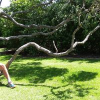 Remi Fourquet's Photo