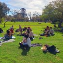 🌿 Outdoor y Escritura – Edición Palermo's picture