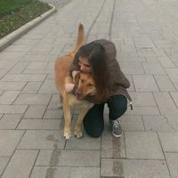 Leyla Green的照片