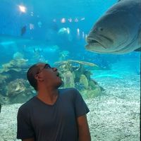 Photos de Deniz kalay