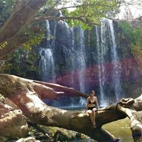 Trista Dandrea的照片