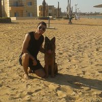 abdelrhman farid's Photo