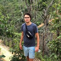 Hugo Vieveen's Photo