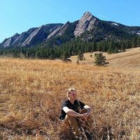 Phil Sedgwick的照片