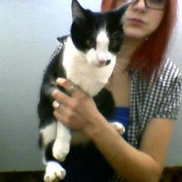 Photos de Anastasia Fedorak