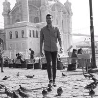 Arash Abbasi的照片