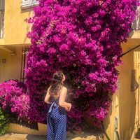 Photos de Saoirse Muldoon