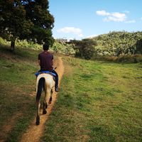 Alberto Ayala Rosales的照片