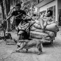 Maegan  Burke的照片