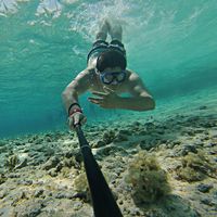 Gabriel Castro的照片