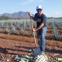 Miguel Angel Lopez的照片