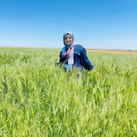 Mekiye Demir的照片