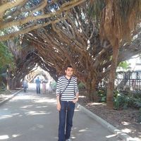 adel  snake的照片