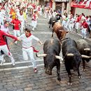 Let’s Go To Fermin Festival From San-Sebastian的照片