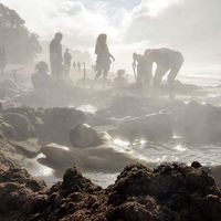 Ankit Duseja的照片