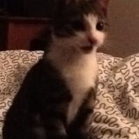 schroder tatiana's Photo