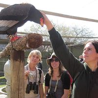 Simone Ariëns's Photo