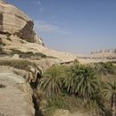 Discover Around Few Days (Wadi's, Wahiba...)的照片