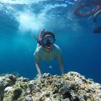 Aurelia Beatrice Sariowan的照片