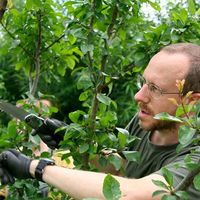 Le foto di Niels Corfield