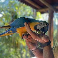 Akos Filigheddu的照片