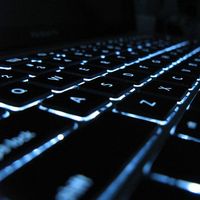 Fletcher hartleypaarlberglje的照片