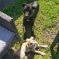 Photos de Abi Norman