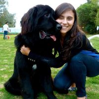 Carolina Bacca's Photo