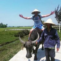 Fotos von Danial Syed