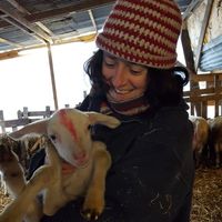 Julie Vandenborre's Photo