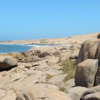 Alejandro Savia's Photo