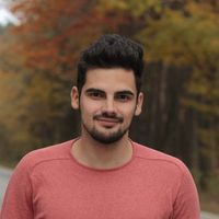 Stefan Sbîrnea的照片