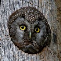 Kirill Ochkan's Photo