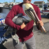 Jacob Rodriguez的照片