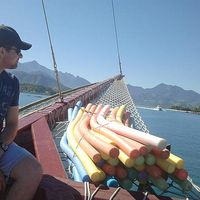 Johnathan Pires的照片